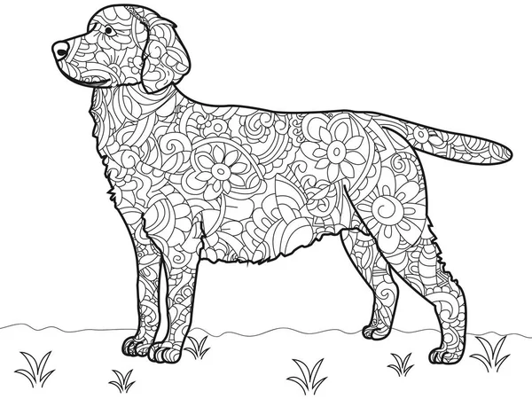 Hund Labrador Antistress målarbok. Vektor — Stock vektor
