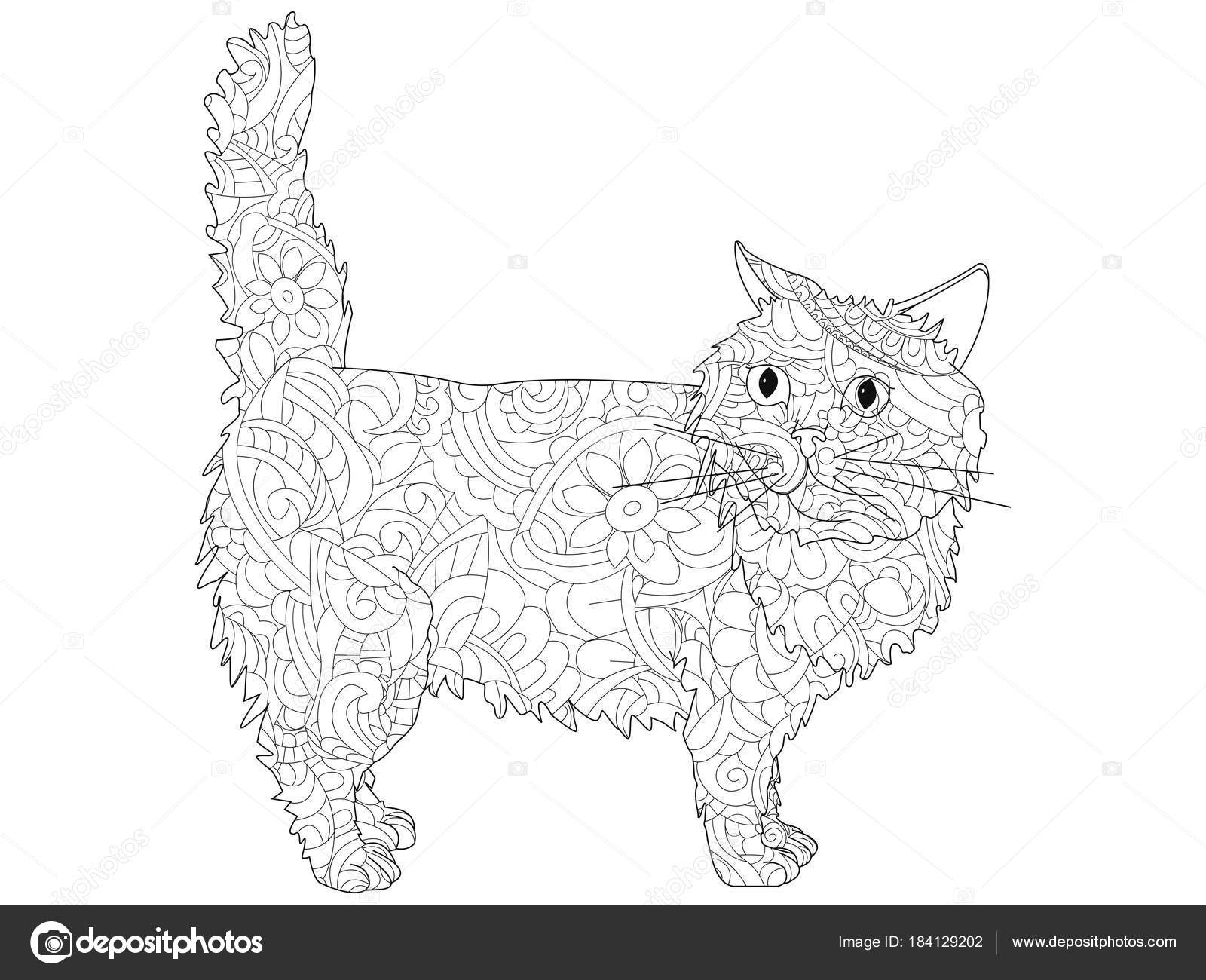 Anti Stress libro da colorare Immagine di og to vettoriale di un gatto Linee nere su sfondo bianco — Vettoriali di toricheks2016ail