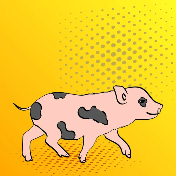Pop Art Background Porco Pet Mini Porco. Vetor de uma tira em quadrinhos vintage, estilo retro — Vetor de Stock