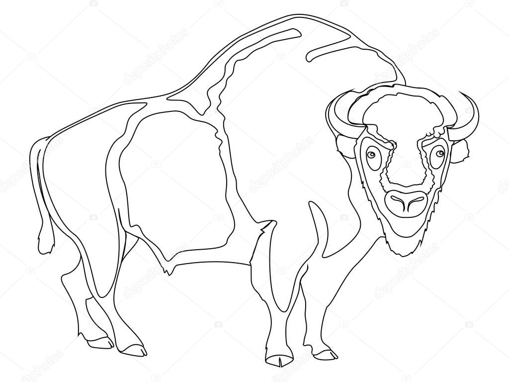 Animal artiodactyl, bison, cow. Comic book style imitation. Object on white background. Book coloring for children