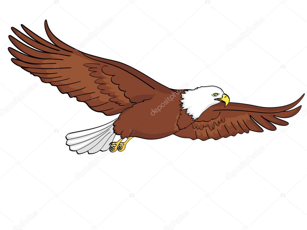 Bird eagle, falcon. Vector of an imitation retro comic style. isolated object on white background