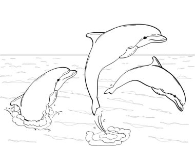 Pop Art. İmitasyon retro çizgi roman tarzı vektör. Deniz, su oyunda üç yunuslar üzerine getirin. Çocuklar için boyama kitabı