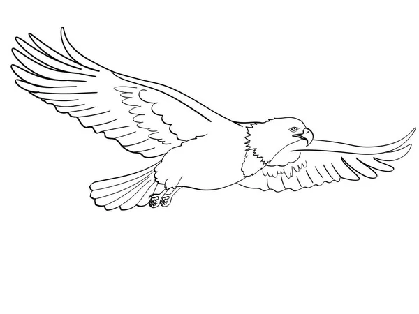 Águila pájaro, halcón. Vector de un estilo cómico retro de imitación. objeto aislado sobre fondo blanco. Libro para colorear para niños — Archivo Imágenes Vectoriales