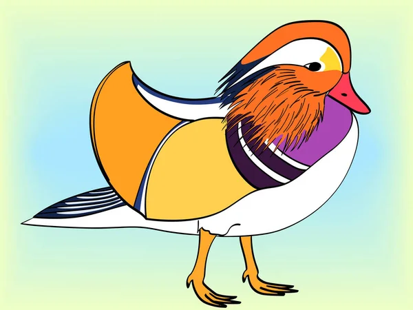 Pop Art. Vecteur de style comique imitation rétro. L'oiseau, le canard mandarin, l'oie . — Image vectorielle