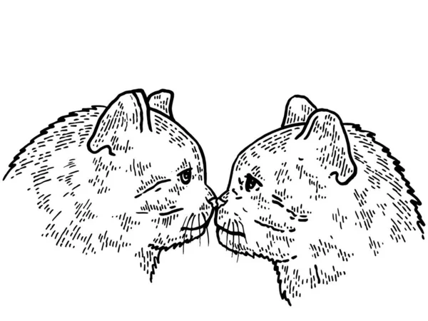İki kedinin öpücüğü kabartma vektör çizimi. Tişört giysisi baskısı tasarımı. Tahta biçimi taklidini çiz. — Stok Vektör