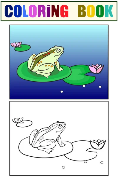 Niños colorear y color sapo, una rana está sentado en un lirio de agua. Blanco y negro. vector de dibujos animados — Vector de stock