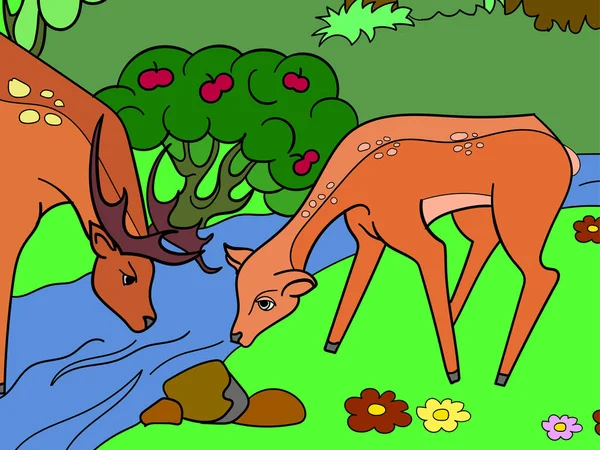 一对夫妇，鹿族在一个水坑，在森林里。彩色图片。雷斯特 — 图库照片