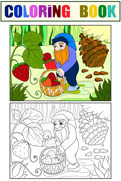 Barva a zbarvení, kreslené, scéna. Trpaslík v lese sbírá jahody, bobule. — Stock fotografie