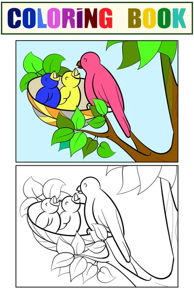 Mamma uccellino nutre i pulcini nel nido. Set di bambini arte da colorare libro e disegno . — Foto Stock