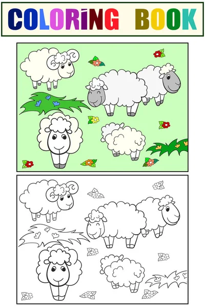 Flock of sheep. Set of children art coloring book and drawing. — Stock Photo, Image