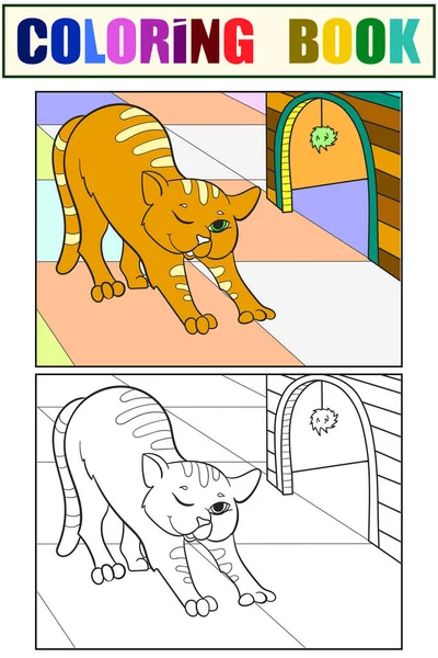 Mascota, el gato se estira. Libro para colorear para niños con un ejemplo de color . — Foto de Stock