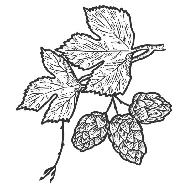 Zweige aus blühenden Hopfen und Blättern. Rubbelbrett-Imitat. Handgezeichnetes Schwarz-Weiß-Bild. — Stockvektor
