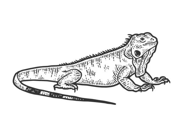 Esquisse d'iguane, dessin d'un gros lézard. Conception d'impression de vêtements . — Image vectorielle