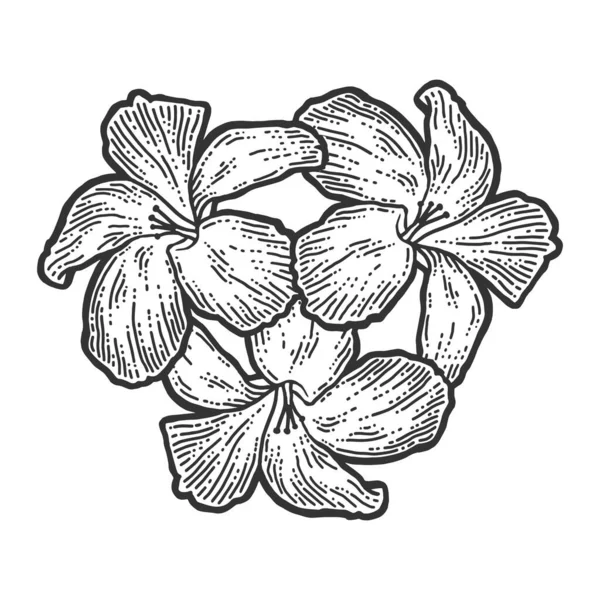 3つの花ハイビスカス、花束。スクラッチボードの模倣。黒と白の手描き画像. — ストック写真