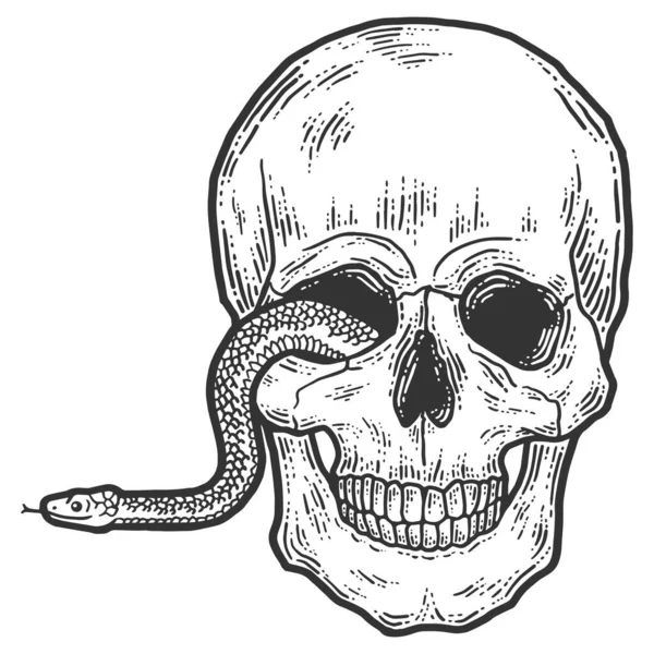 Eine Schlange kriecht aus dem Auge eines menschlichen Schädels. — Stockfoto