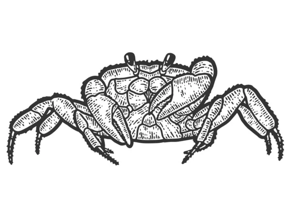 Crabe arthropode. Croquis imitation de planche à gratter. Noir et blanc . — Image vectorielle