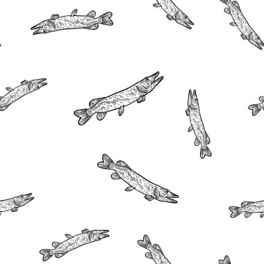 Büyük yırtıcı balık turnabalığı. Kusursuz set. Tahta taklidini çiz.