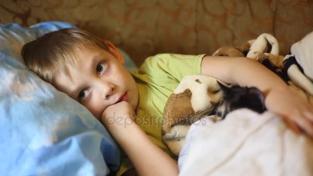 Kleiner Junge liegt im Bett mit der Katze vor dem Fernseher — Stockvideo