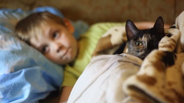 Kleiner Junge liegt im Bett mit der Katze vor dem Fernseher — Stockvideo