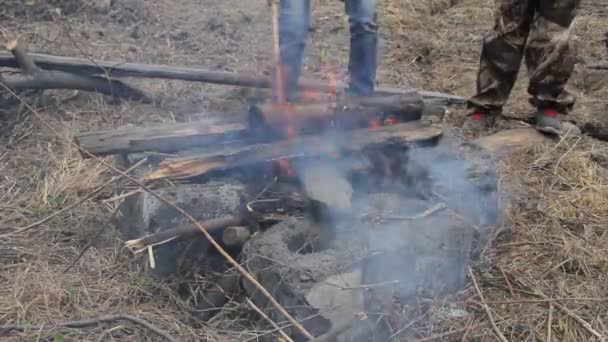 El fuego en el bosque — Vídeo de stock © AntonKulkov #115569018