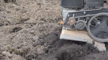 Çiftçi bir Kültüvatör ile toprak yetiştirerek. Tarım. Mini traktör.