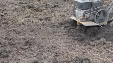 Çiftçi bir Kültüvatör ile toprak yetiştirerek. Tarım. Mini traktör.