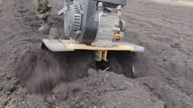 Çiftçi bir Kültüvatör ile toprak yetiştirerek. Tarım. Mini traktör.