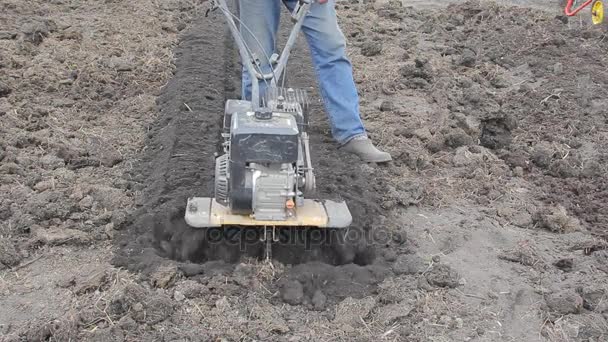 Zemědělec pěstuje s kultivátor půdy. zemědělství. malotraktor. — Stock video