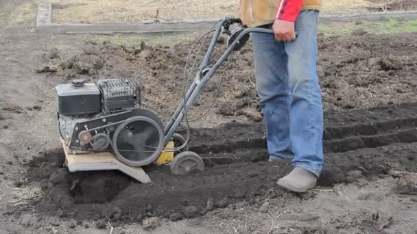 Zemědělec pěstuje s kultivátor půdy. zemědělství. malotraktor. — Stock video