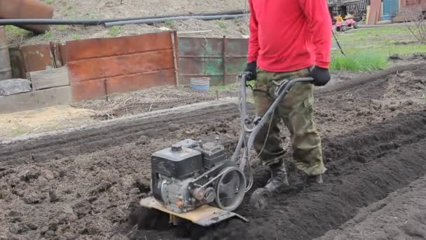Der Bauer bewirtschaftet das Land mit einem Grubber. Landwirtschaft. Mini-Traktor. — Stockvideo