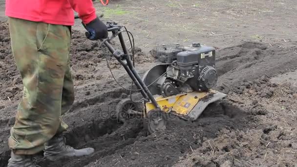 Der Bauer bewirtschaftet das Land mit einem Grubber. Landwirtschaft. Mini-Traktor. — Stockvideo