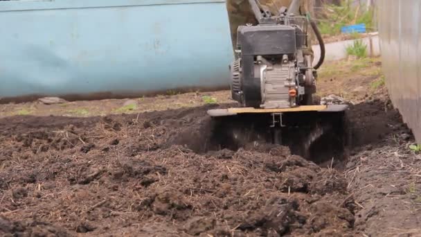 Zemědělec pěstuje s kultivátor půdy. zemědělství. malotraktor. — Stock video