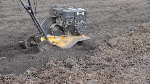 Bonden odlar marken med en jordfräs. jordbruk. Mini traktor. — Stockvideo