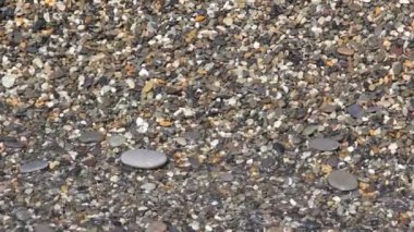 Deniz Karadeniz sahilinde sörf