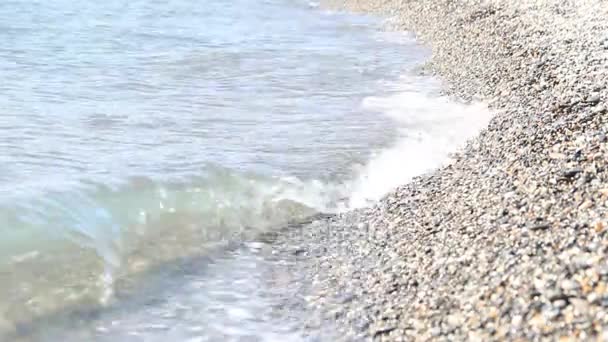 Sea surf on the Black Sea coast — Stock Video