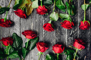siyah ahşap zemin güzel kırmızı güller