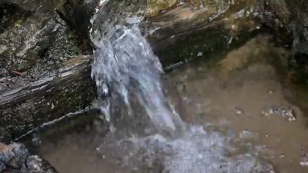 Kildevann strømmer fra et rør i en bolle . – stockvideo