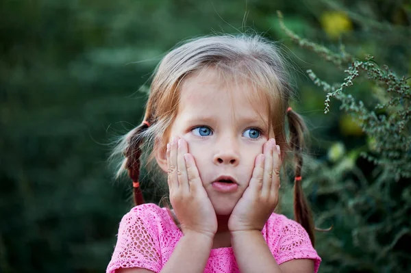 Pequena menina bonito em vestido rosa e duas tranças segurando as bochechas — Fotografia de Stock