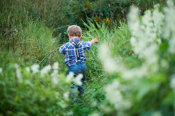 Pequeño niño lindo entra en un campo de hierba alta, jeans con estilo con tirantes y camisa a cuadros. Recuerdos de la infancia sin preocupaciones —  Fotos de Stock