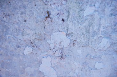 Dabs macun veya boya ile gri duvar. Doku veya arka plan