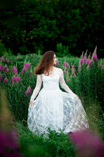 Hermosa novia en vestido de encaje brillante. En un campo con Ivan-tea. Belleza natural, maquillaje mínimo y cabello suelto.Un niño de la naturaleza —  Fotos de Stock