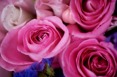 Düğün buket pembe ve mor tonlarında. Güzel ve narin. Doku