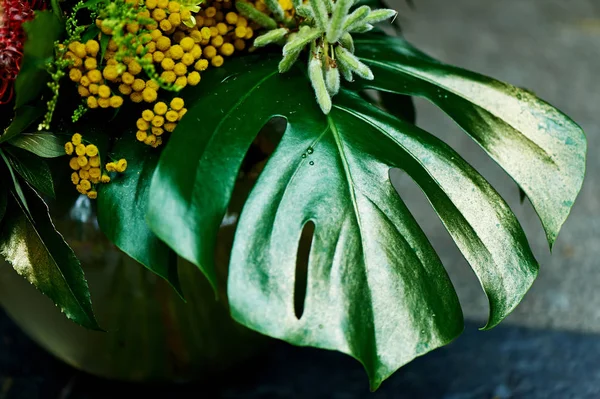Leaf Monstera, festett arany festékkel a sárga virágok. Egzotikus növények — Stock Fotó
