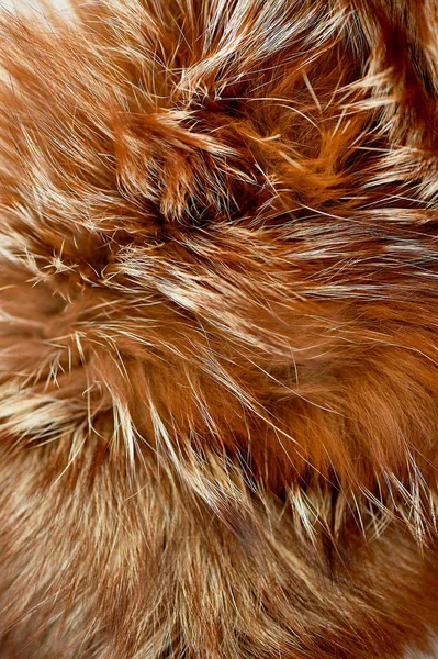 The texture of brown shiny fur.The concept of Greenpeace. Refusal to wear coats — Stock Photo, Image