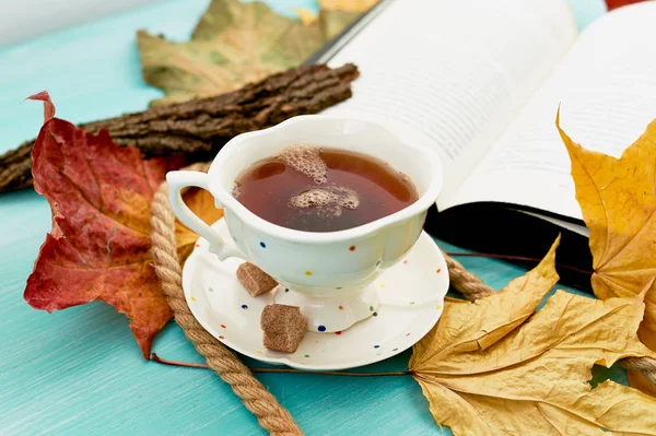 Stock image Cup of tea next to the book in the autumn leaves.Education and comfort