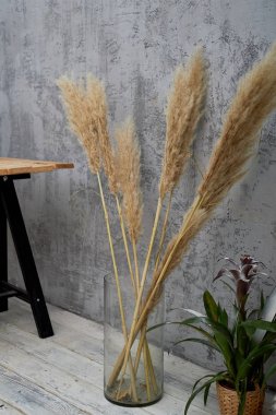 Bir vazoda kurutulmuş çiçekler. Grey, minimalist Inter çatı katında. Hububat Ürünleri