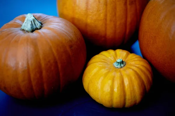 Några pumpor ligga på neutrala ytan. Skörd, Halloween. Orange är en varm färg — Stockfoto