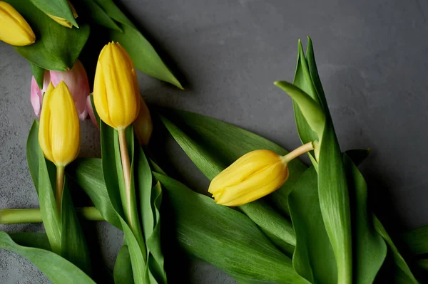 Κίτρινες τουλίπες σε γκρι τσιμεντένιο φόντο. Ημέρα μητέρων, άνοιξη. Σπασμένη τουλίπα. Ακρίβεια στη μεταφορά των λουλουδιών. — Φωτογραφία Αρχείου