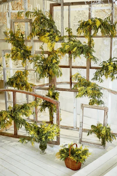 Écran fait de cadres en bois décorés avec Mimosa . — Photo