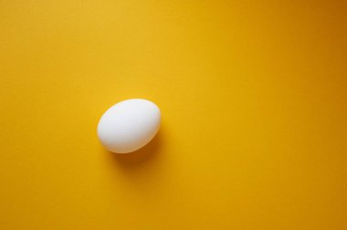 Beyaz arka planda bir yumurta. Minimalizm. Bir fikir, hayatın başlangıcı..
